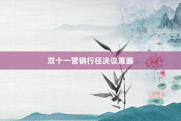 双十一营销行径决议策画